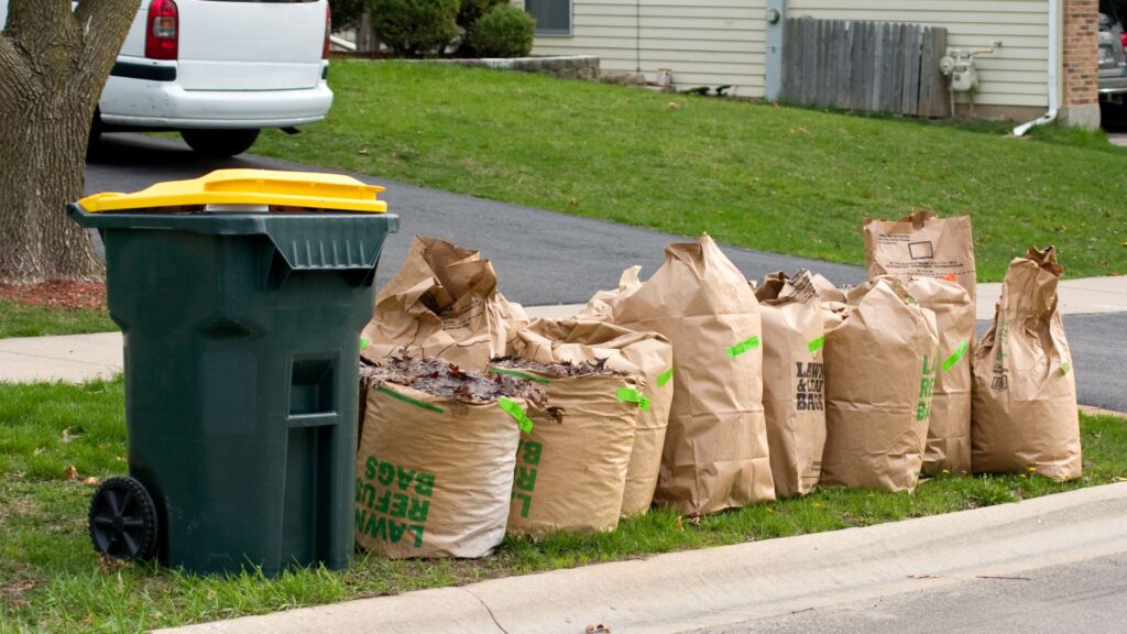 Yard Waste Removal Services In Virginia Beach